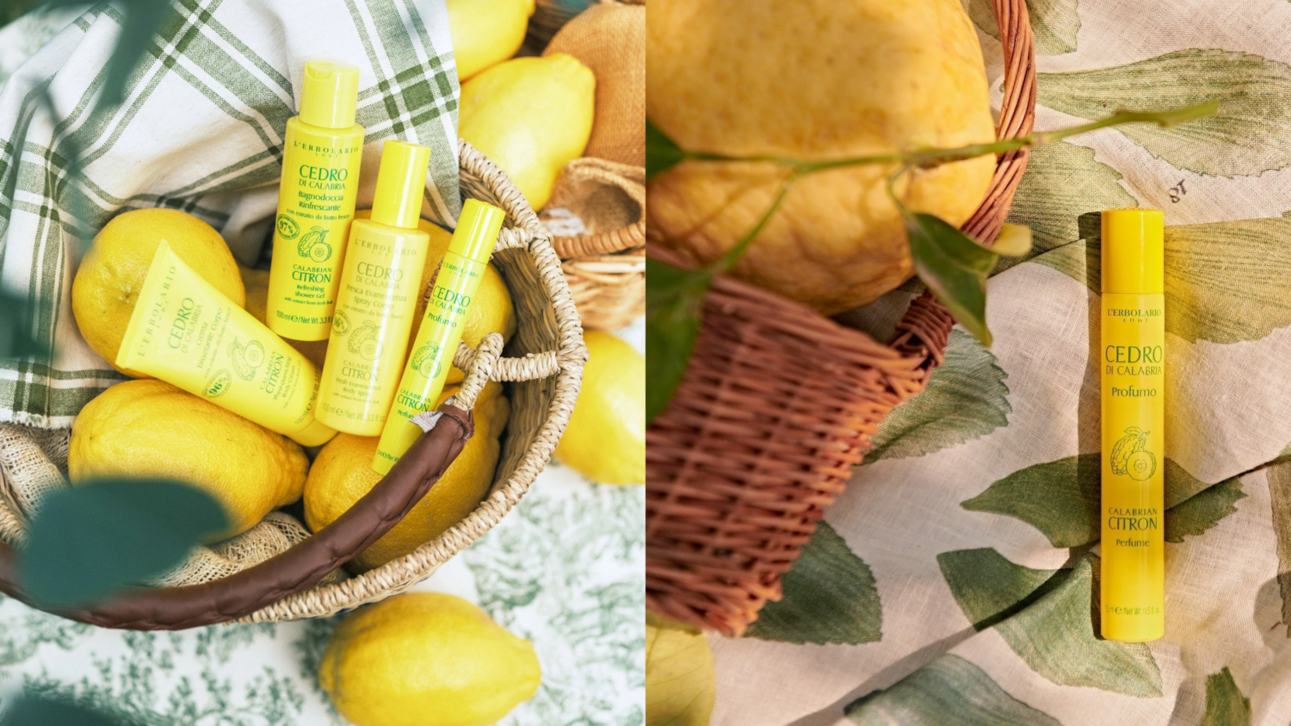 L'ERBOLARIO 2023CEDRO DI CALABRIA